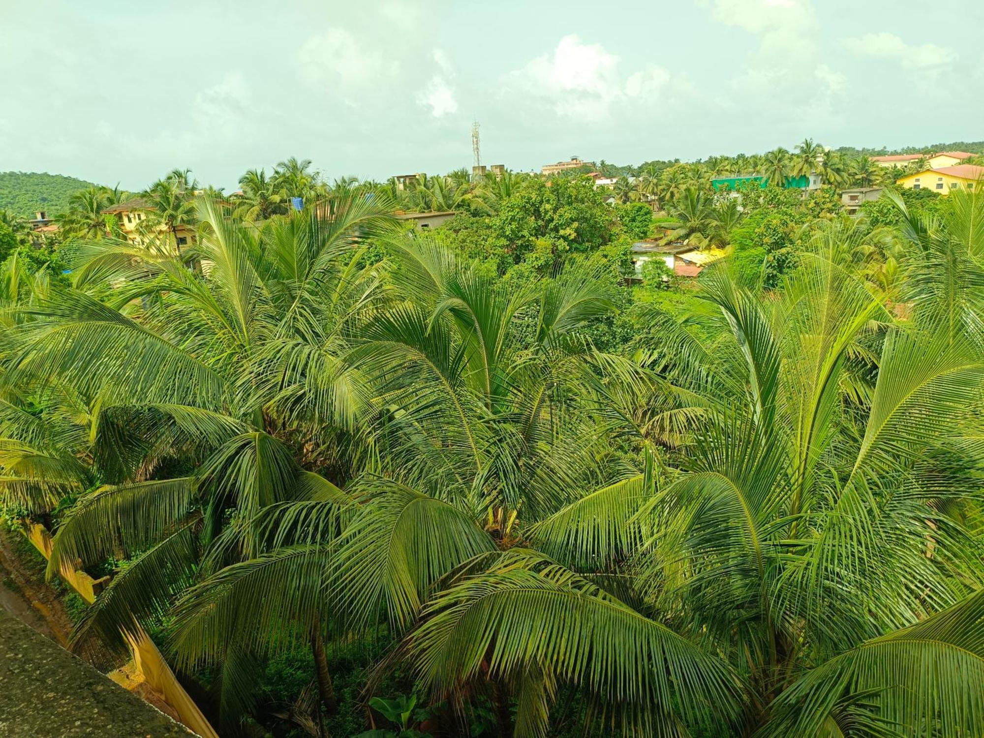 Arambol Paradise By Pss Properties Ngoại thất bức ảnh